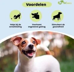 Petloverz Ballen Set - Honden Speelgoed - Intelligentie - Ballen - 6 Stuks 7 Petloverz Ballen Set - Honden Speelgoed - Intelligentie - Ballen - 6 Stuks -Hondenbenodigdheden Korting 1200x1170 24