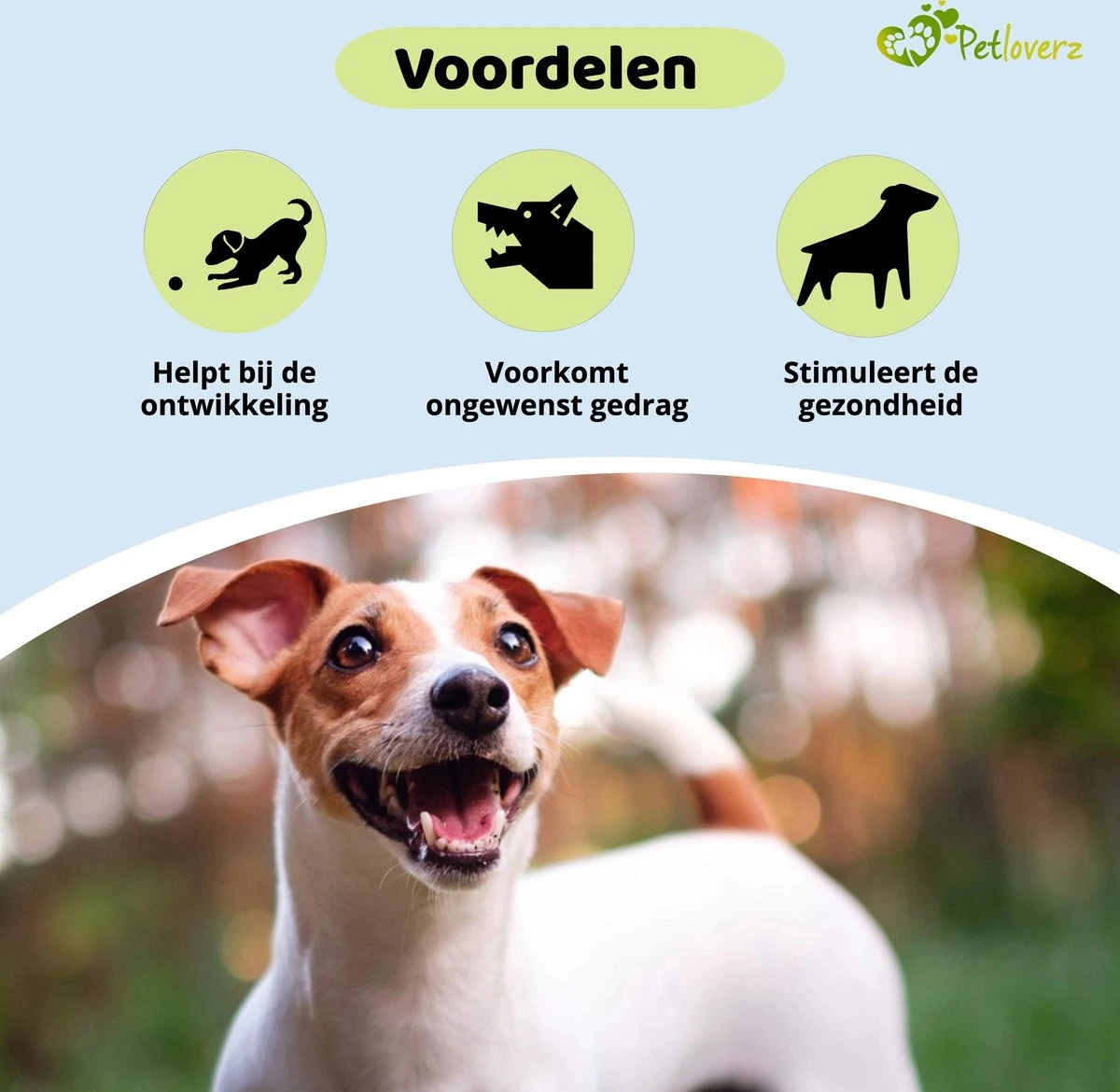 Petloverz Ballen Set - Honden Speelgoed - Intelligentie - Ballen - 6 Stuks 3 Petloverz Ballen Set - Honden Speelgoed - Intelligentie - Ballen - 6 Stuks - Afbeelding 3