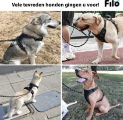 Filo Anti Trek Hondentuig S Met Hondenriem - Y Tuig Hond Verstelbaar - Hondentuigje Kleine Hond + Hondenlijn - Easy Walk Hondenharnas - Hondentuigjes - Leiband - Honden Tuigje - Puppy - Tuig - Hond -Hondenbenodigdheden Korting 1200x1170 27
