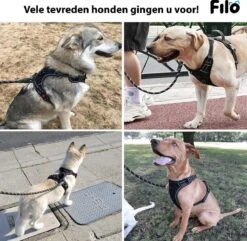 Filo Anti Trek Hondentuig L Met Hondenriem - Y Tuig Hond - Easy Walk Hondenharnas Large + Hondenlijn - Hondentuigje Verstelbaar - Leiband - Honden Tuigje - Riem -Hondenbenodigdheden Korting 1200x1170 29