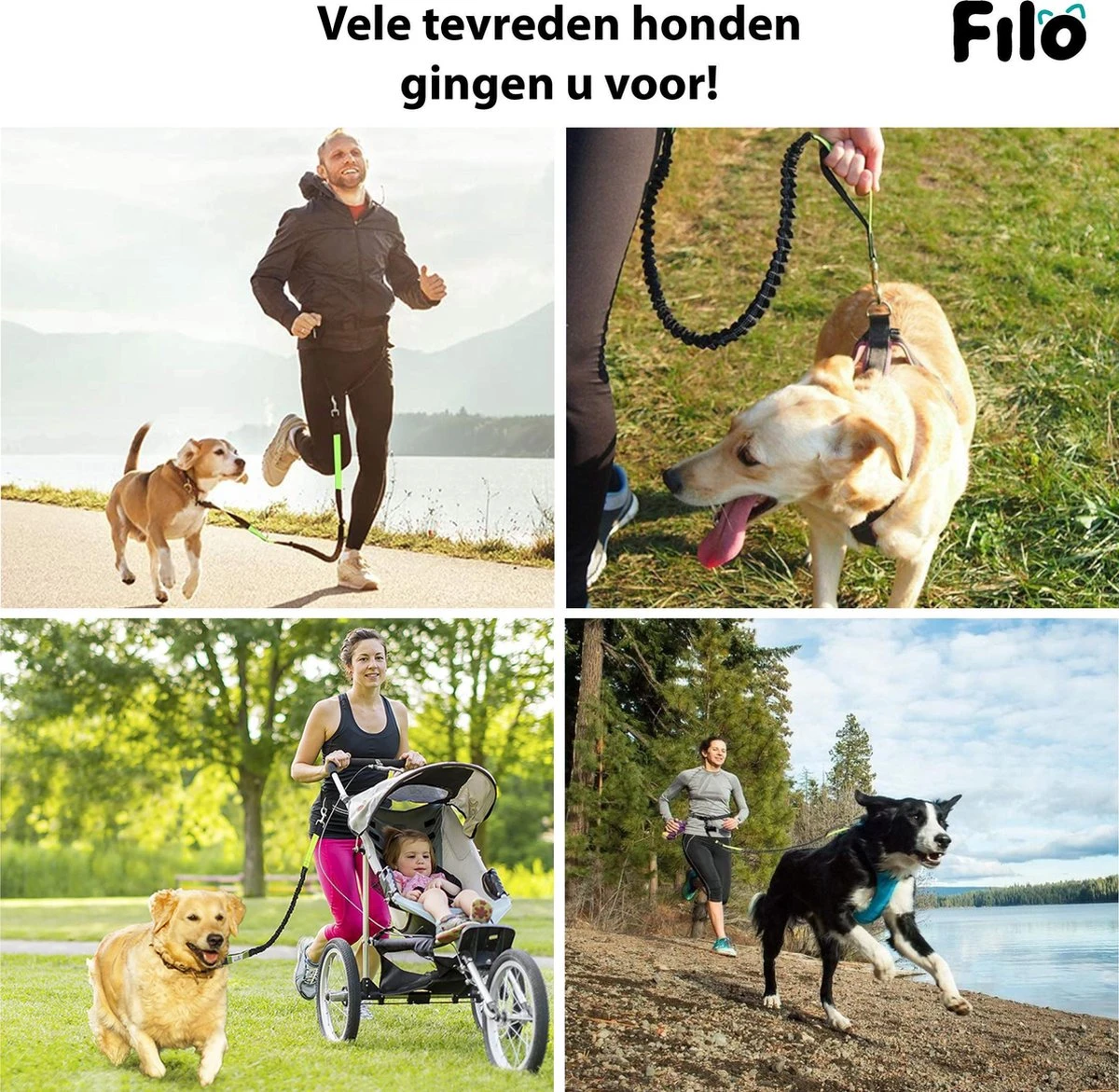 Filo Elastische Hondenriem Groot - Hardlopen En Wandelen - Hardloopriem Hond Handsfree Met Heuptasje - Looplijn Met Heupriem - Canicross Gordel Honden - Riemen - Heupgordel - Leiband 6 Filo Elastische Hondenriem Groot - Hardlopen En Wandelen - Hardloopriem Hond Handsfree Met Heuptasje - Looplijn Met Heupriem - Canicross Gordel Honden - Riemen - Heupgordel - Leiband - Afbeelding 6