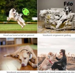 Filo Honden Speelgoed Set 14 Stuks - Hondenspeeltjes Knuffel - Hondenbal - Flostouw - Bot - Frisbee - Hondentouw - Hondenspeelgoed Intelligentie - Kauwspeelgoed Hond En Puppy - Bijtspeelgoed Hondenknuffel - Hondenspeeltje Met Piep -Hondenbenodigdheden Korting 1200x1171 15