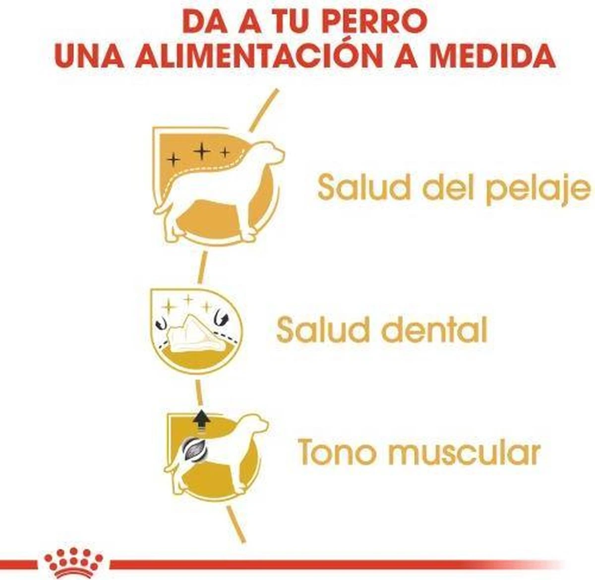 Royal Canin Poodle Adult - Hondenvoer - 7,5 Kg 6 Royal Canin Poodle Adult - Hondenvoer - 7,5 Kg - Afbeelding 6