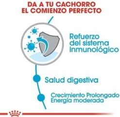 Royal Canin Maxi Puppy 4 KG -Hondenbenodigdheden Korting 1200x1173