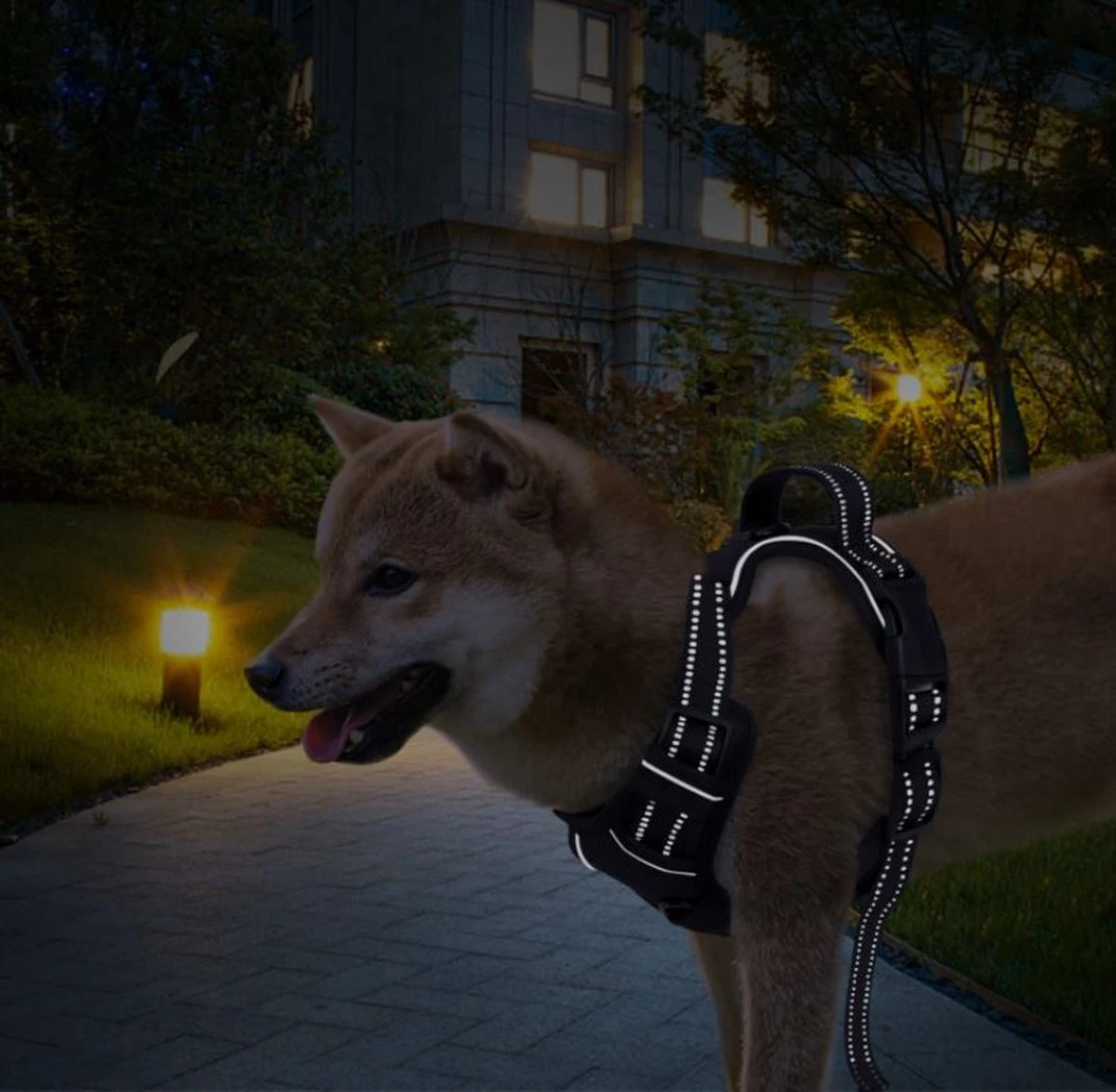 Nobleza 42ZHY - Hondenharnas - Hondentuigje - Anti Trek - L - Zwart 6 Nobleza 42ZHY - Hondenharnas - Hondentuigje - Anti Trek - L - Zwart - Afbeelding 6