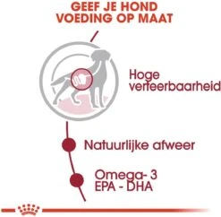 Royal Canin Shn Medium Adult Pouch - Hondenvoer - 10 X 140 G -Hondenbenodigdheden Korting 1200x1175