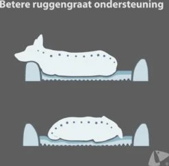 PETKIT® Four Season - Hondenmand - Kattenmand - Wasbaar - Memory Foam - Maat L -Hondenbenodigdheden Korting 1200x1175 6