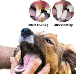 Doodadeals® 4 Stuks Siliconen Honden Tandenborstel - Tanden Borstel Hond - Silicone Dog Tootbrush - Multikleur -Hondenbenodigdheden Korting 1200x1175 9