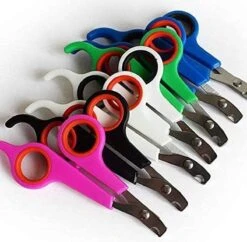 Doodadeals® | Nagelschaar Kat | Nagelschaar Hond | Nagelschaar Konijn | Nagelschaar Cavia | Multi Color | 1 Stuk 7 Doodadeals® | Nagelschaar Kat | Nagelschaar Hond | Nagelschaar Konijn | Nagelschaar Cavia | Multi Color | 1 Stuk -Hondenbenodigdheden Korting 1200x1178 3