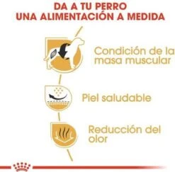 Royal Canin French Bulldog Adult 9 KG 17 Royal Canin French Bulldog Adult 9 KG -Hondenbenodigdheden Korting 1200x1180 1