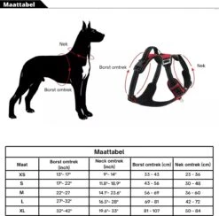 Hondenharnas – Inclusief Hondenriem – Reflecterend – Hondentuig – Hondenriem – Y Tuig Hond - Anti Trek Tuig - Zwart – Maat M -Hondenbenodigdheden Korting 1200x1184 15