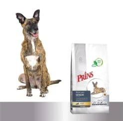 Prins Procare Croque Senior Superior - 10 KG -Hondenbenodigdheden Korting 1200x1184