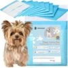 Springos Puppy Training Pads| Plasmatjes Hond | Zindelijkheidstraining | 10 Stuks | 35 X 45 Cm