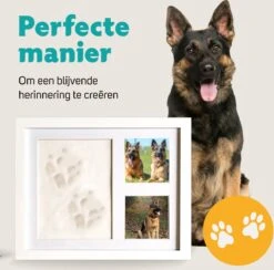 Honden Fotolijst Met Kleiafdruk - Gipsafdruk - Speelgoed Voor Dieren - Pootafdruk Hond - Puppy Speelgoed - Gipsafdruk Huisdier -Hondenbenodigdheden Korting 1200x1186 17