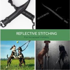 Nobleza Splitter Hondenriem - Dubbel Aanlijnriem Voor Honden - Splitter Verstelbaar - Zwart 11 Nobleza Splitter Hondenriem - Dubbel Aanlijnriem Voor Honden - Splitter Verstelbaar - Zwart -Hondenbenodigdheden Korting 1200x1187 14