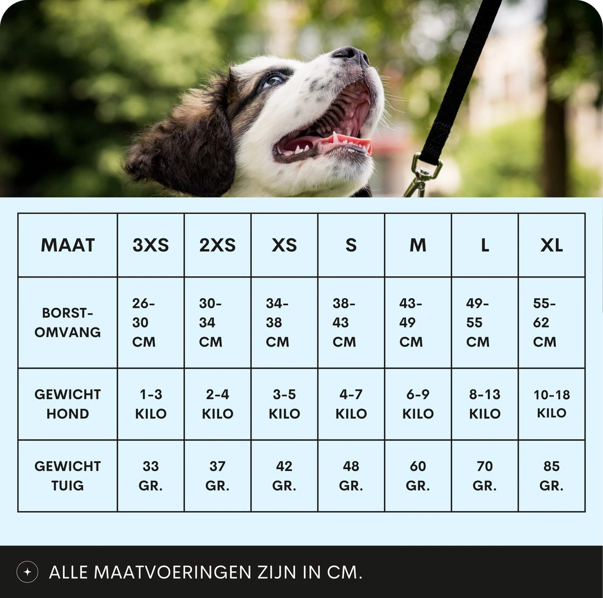 Topmast Airmesh Hondentuig - Click & Go - Petrol - L - Reflecterend - Harnas Hond - Hondentuigje - Hondenharnas - Voor Puppy, Kleine, Medium En Grote Hond 2 Topmast Airmesh Hondentuig - Click & Go - Petrol - L - Reflecterend - Harnas Hond - Hondentuigje - Hondenharnas - Voor Puppy, Kleine, Medium En Grote Hond - Afbeelding 2