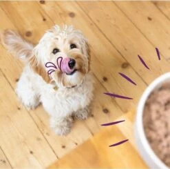 Merkloos Edgard & Cooper Hondenvoer Multipack Kip - Wild - Lam 6 X 100 Gr -Hondenbenodigdheden Korting 1200x1190 1