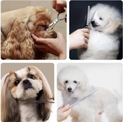 VoordeelShop 7-Delige Huisdier Knipset Met Etui - Trimmen Hond - Honden Schaar - Effileerschaar Hond - Huisdier Trimmer - Huisdier Knippen - Knipschaar Haar - Haar Schaar - Kapper - Kapperset - Scharenset 29 VoordeelShop 7-Delige Huisdier Knipset Met Etui - Trimmen Hond - Honden Schaar - Effileerschaar Hond - Huisdier Trimmer - Huisdier Knippen - Knipschaar Haar - Haar Schaar - Kapper - Kapperset - Scharenset -Hondenbenodigdheden Korting 1200x1190 7