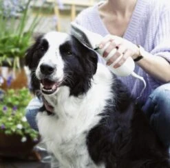 Merkloos HondenFöhn En Borstel - RVS Borstel - Huisdieren - 2 In 1 Hondenföhn -Hondenbenodigdheden Korting 1200x1190 8