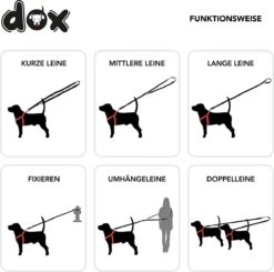DDOXX Hondenriem Air Mesh, 3-voudig Verstelbaar, 2m | Voor Kleine & Grote Honden | Dubbele Riem Twee Honden Kat Puppy | Tug Leash Large | Lead Leash Small | Walking Leash Puppy Leash | Zwart, M -Hondenbenodigdheden Korting 1200x1192 5