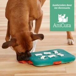 Nina Ottosson Dog Casino - Turquoise/Oranje - 31,5 X 26 X 4,5 Cm -Hondenbenodigdheden Korting 1200x1193 15