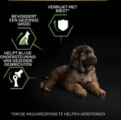 Pro Plan Healthy Start Puppy Large Robust - Honden Droogvoer - Kip - 12 Kg -Hondenbenodigdheden Korting 1200x1194