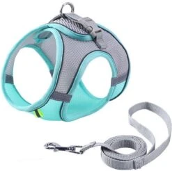 Hondentuigje Voor Kleine Puppy's & Kleine Honden - Blauw - Maat M 14 Hondentuigje Voor Kleine Puppy's & Kleine Honden - Blauw - Maat M -Hondenbenodigdheden Korting 1200x1195 34