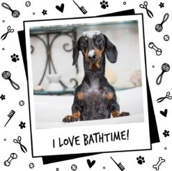 Bugalugs - Hondenshampoo - One In A Million - Alle Vachttypes - Fles Met Pompje - Vegan - 500 Ml -Hondenbenodigdheden Korting 1200x1196 8