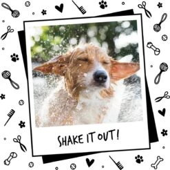 Bugalugs - Hondenshampoo - One In A Million - Alle Vachttypes - Fles Met Pompje - Vegan - 500 Ml -Hondenbenodigdheden Korting 1200x1197 10