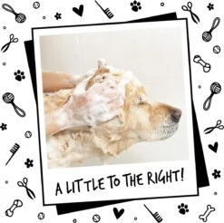 Bugalugs - Hondenshampoo - One In A Million - Alle Vachttypes - Fles Met Pompje - Vegan - 500 Ml -Hondenbenodigdheden Korting 1200x1197 12