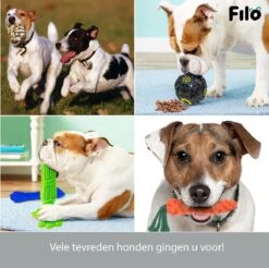 Filo Honden Speelgoed Set 14 Stuks - Hondenspeeltjes Knuffel - Hondenbal - Flostouw - Bot - Frisbee - Hondentouw - Hondenspeelgoed Intelligentie - Kauwspeelgoed Hond En Puppy - Bijtspeelgoed Hondenknuffel - Hondenspeeltje Met Piep -Hondenbenodigdheden Korting 1200x1197 27