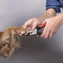 Merkloos Professionele Nagelschaar - Dieren Nagelschaar - Rood & Zwart - Honden Nagelknipper - Hondennagels - Honden Knip Schaar - Honden Knipsch -Hondenbenodigdheden Korting 1200x1198 16