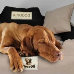 Kingdog - Honden- En Kattenbed 55 X 45 | Zwart - Maat S 10 Kingdog - Honden- En Kattenbed 55 X 45 | Zwart - Maat S -Hondenbenodigdheden Korting 1200x1198 23