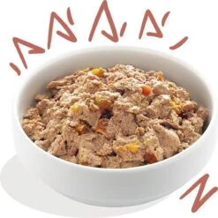 11x Edgard & Cooper Kuipje Vers Vlees Senior Hondenvoer Kip - Zalm 150 Gr -Hondenbenodigdheden Korting 1200x1198 3