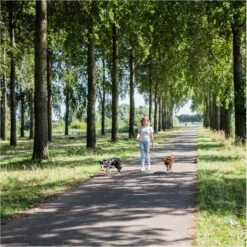 Rebel Petz - Dubbele Verstelbare Hondenriem Voor Twee Honden - Met Draaibare Sluiting En Zacht Handvat - Small En Large - Small (140 Cm Lang, Ø 8 Mm) -Hondenbenodigdheden Korting 1200x1198 30