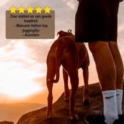 Looplijn Met Heupriem Hands Free - Hondenriem - Reflecterende Hardloopband -Elastische Leiband - Heuptas En Flessenhouder - Zwart - 150 Cm Tot 210 Cm -Hondenbenodigdheden Korting 1200x1198 32