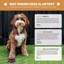Vulpes Pets® PRO Praatknop Voor Honden - Dogbuttons - Laat Uw Huisdier Spreken - Hondenspeelgoed - Honden Training - Incl. E-Book & Trainingsstickers -Hondenbenodigdheden Korting 1200x1198 37