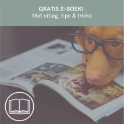 Comfort Company Praatknop Hond | Dogbuttons – Honden Speelgoed | Honden Speelgoed Intelligentie | 4 Stuks | Agility Voor De Hond | 30 Seconden Opnamen | Honden Training -Hondenbenodigdheden Korting 1200x1198 39