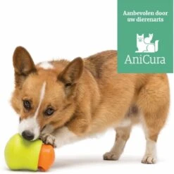 West Paw Toppl Zogoflex - Uitdagend En Sterk Speelgoed Voor Honden - Slowfeeder - Vulbaar Met Voer Of Snacks - Kleur: Groen, Maat: Large -Hondenbenodigdheden Korting 1200x1198 43