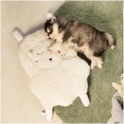 Beeztees Puppy Sjiepo - Hondenspeelgoed - Wit - 40x22x5 Cm -Hondenbenodigdheden Korting 1200x1198 44