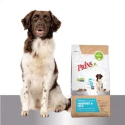Prins ProCare Herring & Rice 12 Kg - Hond -Hondenbenodigdheden Korting 1200x1199