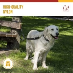 Happilax Dog Leash 2m Adjustable - Black/Reflective - 3-Step Adjustable Leash - Double Leash, Tug Leash - Geschikt Als Hondenriem Voor Grote Honden Of Als Sleepriem Voor Kleine Honden. -Hondenbenodigdheden Korting 1200x1199 25