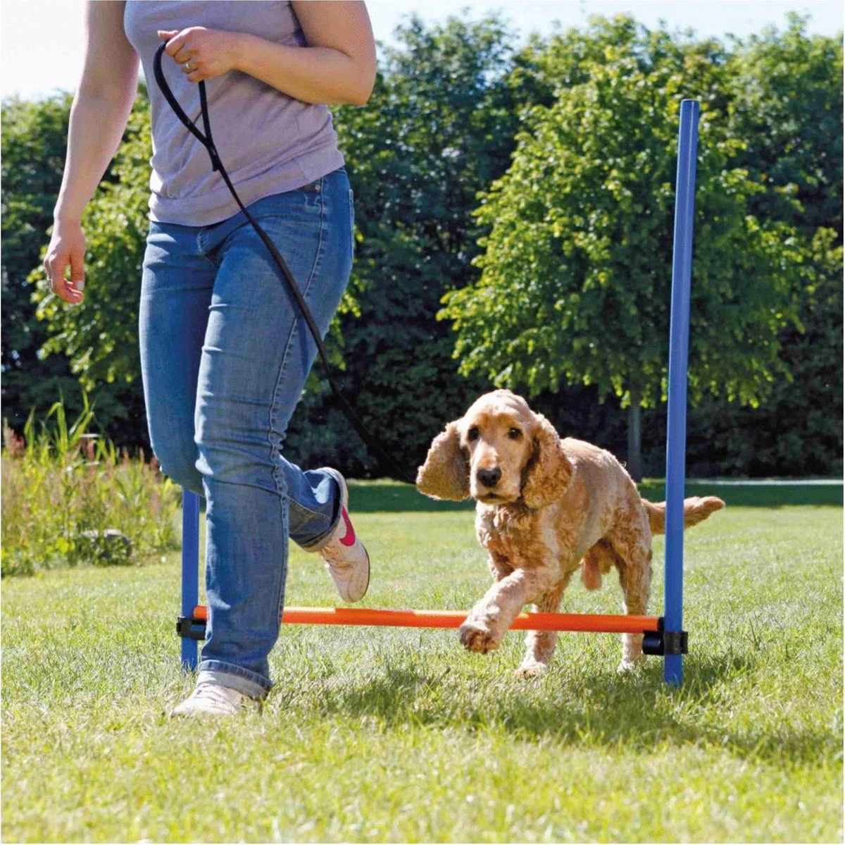 Trixie Dog Activity Agility Horde - Blauw/Oranje - 123 X 115 X 3 Cm 2 Trixie Dog Activity Agility Horde - Blauw/Oranje - 123 X 115 X 3 Cm - Afbeelding 2