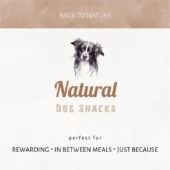 Antos Kippenpoten Gedroogd Kip 1 Kg -Hondenbenodigdheden Korting 1200x1199 4