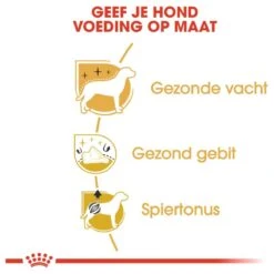 Royal Canin Poodle Adult - Hondenvoer - 7,5 Kg 16 Royal Canin Poodle Adult - Hondenvoer - 7,5 Kg -Hondenbenodigdheden Korting 1200x1200 10