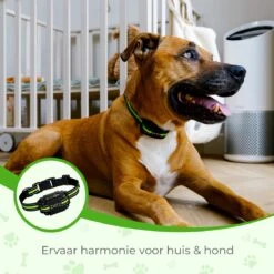 Petz - Anti Blafband - Anti Blafband Voor Kleine En Grote Honden - 5-55 KG - Vibratie En Audio - Diervriendelijk - GEEN Schokken - Opvoedingshalsband Zonder Schok En Diervriendelijk - Waterdicht - Oplaadbaar -Hondenbenodigdheden Korting 1200x1200 1002