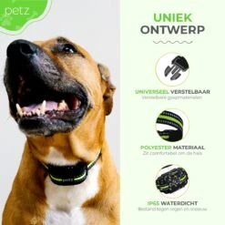 Petz - Anti Blafband - Anti Blafband Voor Kleine En Grote Honden - 5-55 KG - Vibratie En Audio - Diervriendelijk - GEEN Schokken - Opvoedingshalsband Zonder Schok En Diervriendelijk - Waterdicht - Oplaadbaar -Hondenbenodigdheden Korting 1200x1200 1003
