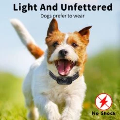 NIIYEBU Anti Blafband - Blafbanden Voor Honden - Anti Blaf Apparaat - Diervriendelijk - Zonder Schok - Vibratie En Audio -Hondenbenodigdheden Korting 1200x1200 1009