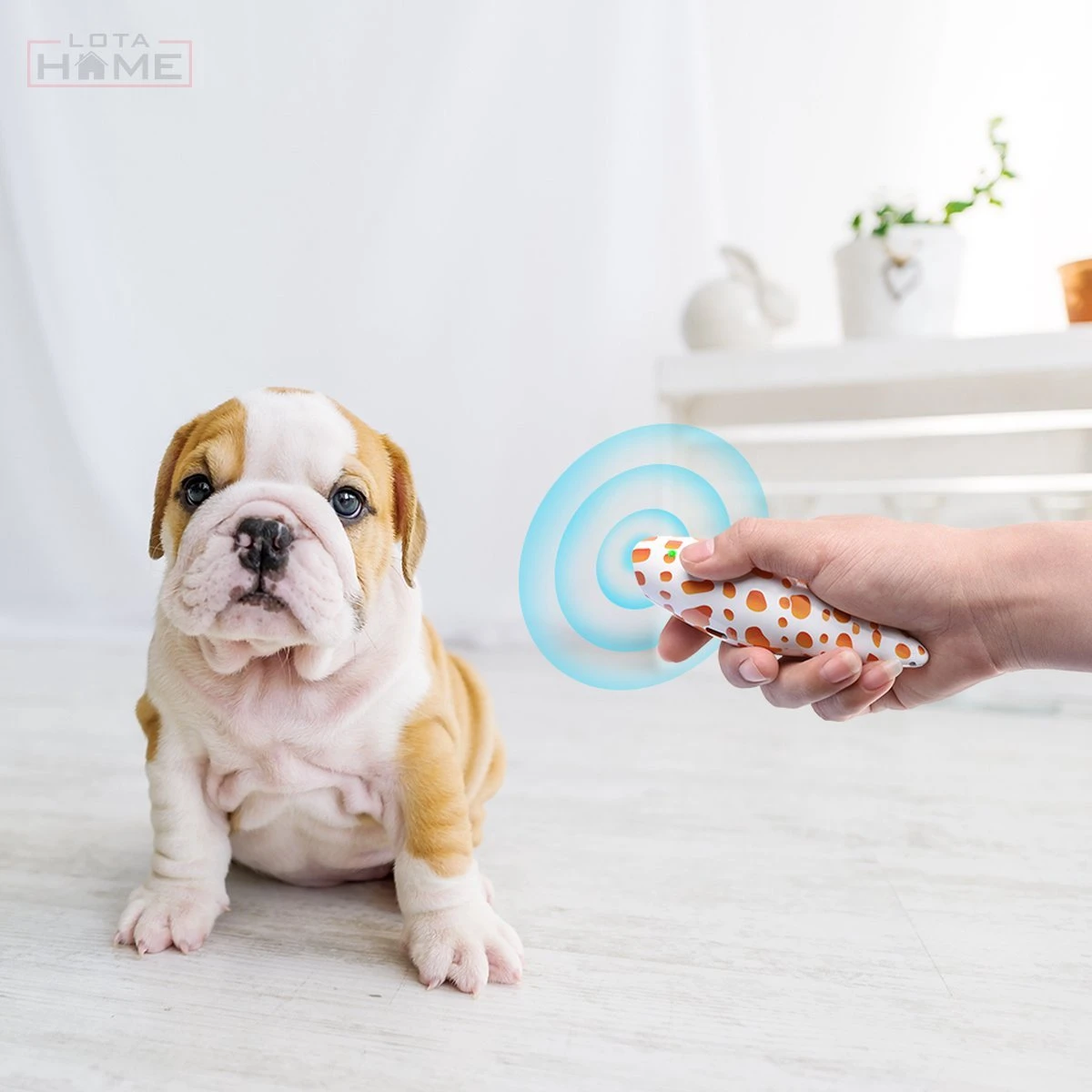 Merkloos LotaHome - Anti Blaf Apparaat - Hondentrainer Voor Binnen En Buiten - Bereik Tot 15 Meter - Diervriendelijk - Zonder Schok - Ultrasone - Voor Alle Honden - Inclusief Clicker 1 Merkloos LotaHome - Anti Blaf Apparaat - Hondentrainer Voor Binnen En Buiten - Bereik Tot 15 Meter - Diervriendelijk - Zonder Schok - Ultrasone - Voor Alle Honden - Inclusief Clicker