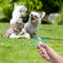 Merkloos LotaHome - Anti Blaf Apparaat - Hondentrainer Voor Binnen En Buiten - Bereik Tot 15 Meter - Diervriendelijk - Zonder Schok - Ultrasone - Voor Alle Honden - Inclusief Clicker 23 Merkloos LotaHome - Anti Blaf Apparaat - Hondentrainer Voor Binnen En Buiten - Bereik Tot 15 Meter - Diervriendelijk - Zonder Schok - Ultrasone - Voor Alle Honden - Inclusief Clicker -Hondenbenodigdheden Korting 1200x1200 1015